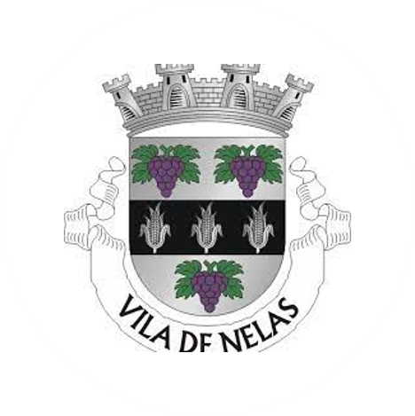 Camara Municipal de Nelas